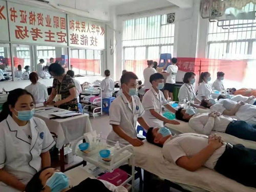 广西职业资格多元化技能培训体系概述